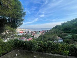 Vila Frroku