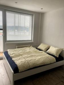 Apartment right next to the city center and Aupark