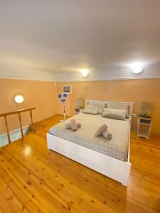 Chocolate in the hearth of Budapest