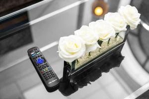 Central Luxury Apartment