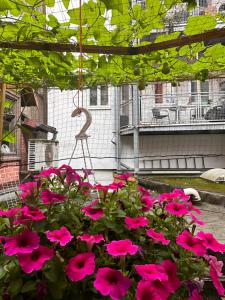 Wohnung im Herzen der historischen Altstadt