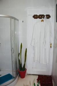 Amazing 3 bedrooms with sauna in the compound,2 bedrooms has its own entrance than the main Bedroom