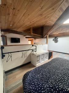 Appartements Le loft Mansarde : photos des chambres