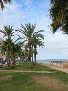 Marina dort Acapulco II primera línea de playa