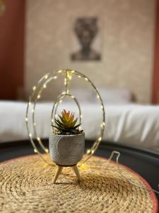 Savanah - Olympe Suites & Spa Roubaix - Lille