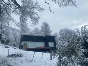 Moderna casa en el bosque