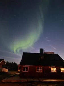 Bungalåven Lodge AS - Bævkopp