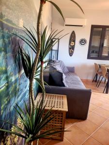 Kite House Portopollo img7