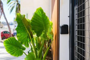 Walkable Vacation Gem 2BR1BA Office