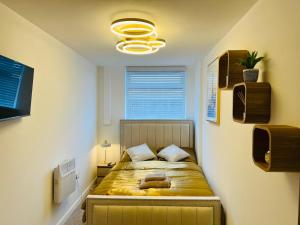 Luxury 4 Bedroom Apartment