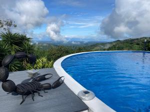 Palco Pacifico at The Retreat