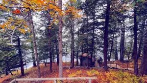 Birkswyld - Bracebridge