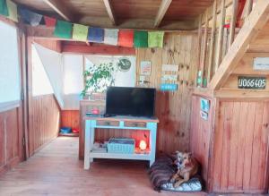 El Canto de la Ballena Bungalow La Paz