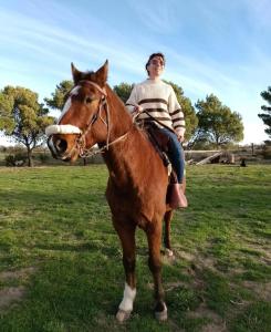 El Canto de la Ballena Bungalow La Paz