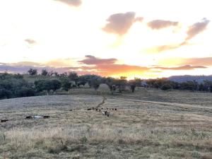 Luxury country guesthouse on large cattle station