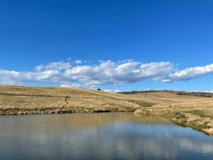 Luxury country guesthouse on large cattle station