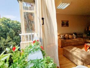 Garden City Apartment in Downtown Cairo