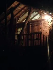 Luxury tree house - Kibissa