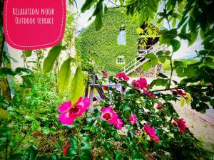 Cottage House Weyer - Mare&Filly Room