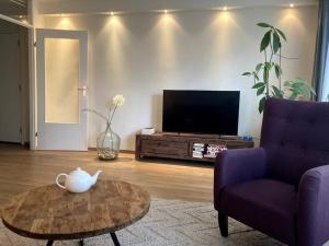 Spacious apartment, Canal area, city center