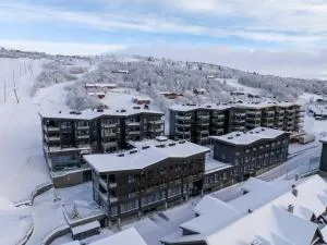 Riddergaarden Mountain Lodge, Beitostølen - Aurdal