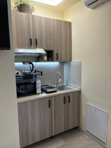 Studio Apartman Tara