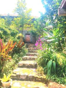 Trang trại nghỉ dưỡng Việt Thành Hill