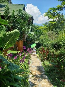 Trang trại nghỉ dưỡng Việt Thành Hill