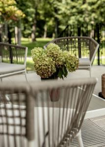 Apartamenty w Willi Dębowej z dostępem do sauny