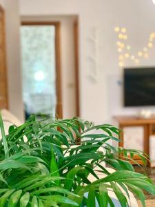 Your Holiday Home - El Tablado - Tenerife Sur