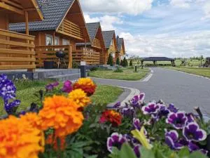 Biały Łabędź - Ciekoty