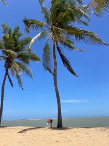 Sea Sand Resort