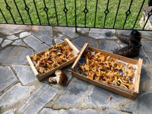 Appartements la grange T2 Centre Ville Jardin WIFI : photos des chambres
