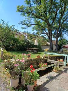 Gîte du Ruisseau dArgent