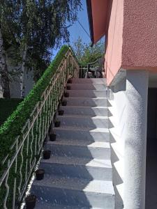 Beograd Oaza, Palilula