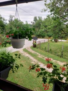 Guest House Happy day 