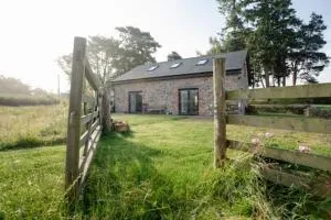 Chic cottage near Elan Valley and Builth Wells - Llanwrthwl