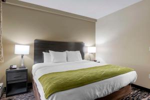 One-Bedroom King Suite with Sofa Bed room in Rodeway Inn