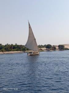 The Adventures of Aga Khan