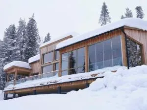 Villa Kätkö - 索特