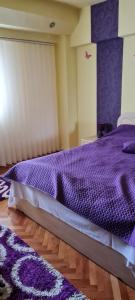 Apartament cu 2 camere spatioase in centrul orasului - ANDREI
