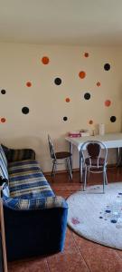 Apartament cu 2 camere spatioase in centrul orasului - ANDREI