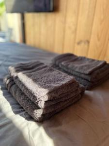 Appartements Tiny cosy - Terrasse privee - Valenciennes - Arrivee autonome : photos des chambres