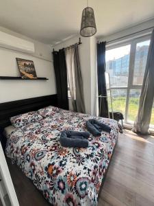 Cosy studio next to The Mall