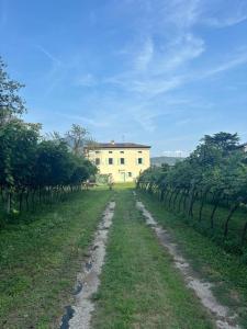 La Casa nella Vigna