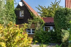 Ferienhaus Kornblume - Blankenburg