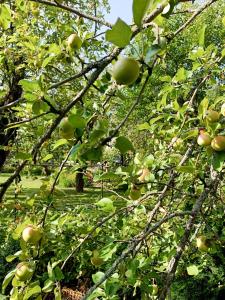 Tunnelmallinen yksiö kaupungin läheisyydessä