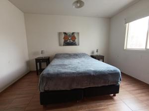 LA CASA DE LA MUSICA - Frente hospital español