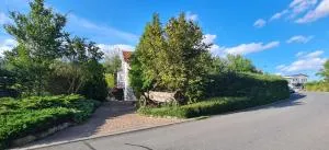 am Waltersberg - 陶贝尔比绍夫斯海姆