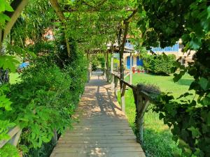 Appartements Appartement avec terrasse bodega : photos des chambres